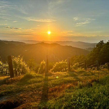 1929 Wine Food Relax Agriturismo Акуи Терме Екстериор снимка