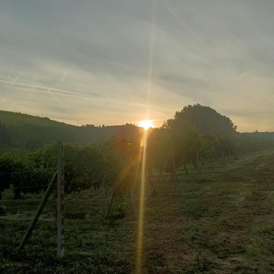 1929 Wine Food Relax Agriturismo Акуи Терме Екстериор снимка