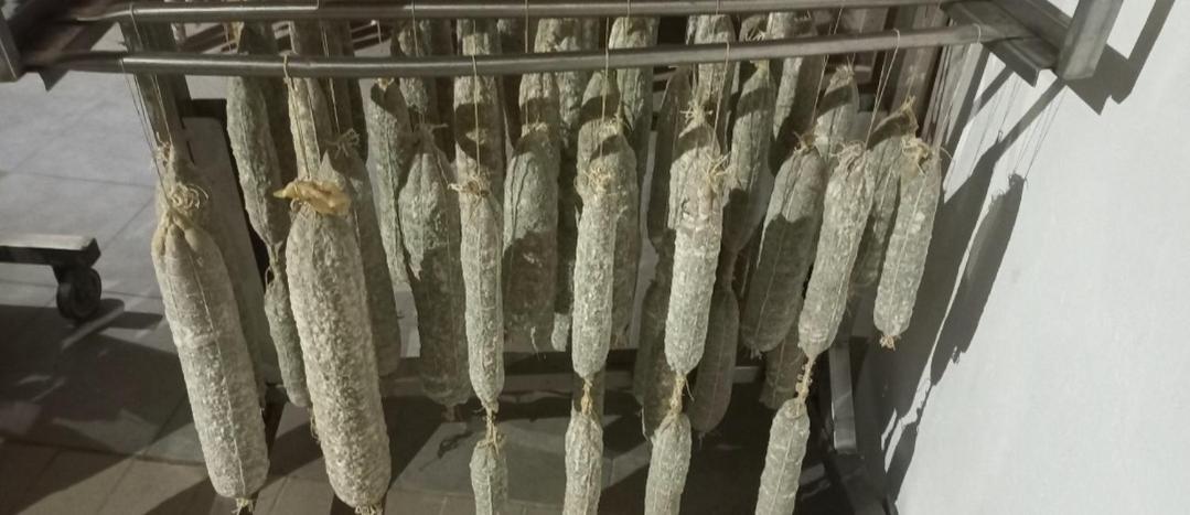 1929 Wine Food Relax Agriturismo Акуи Терме Екстериор снимка