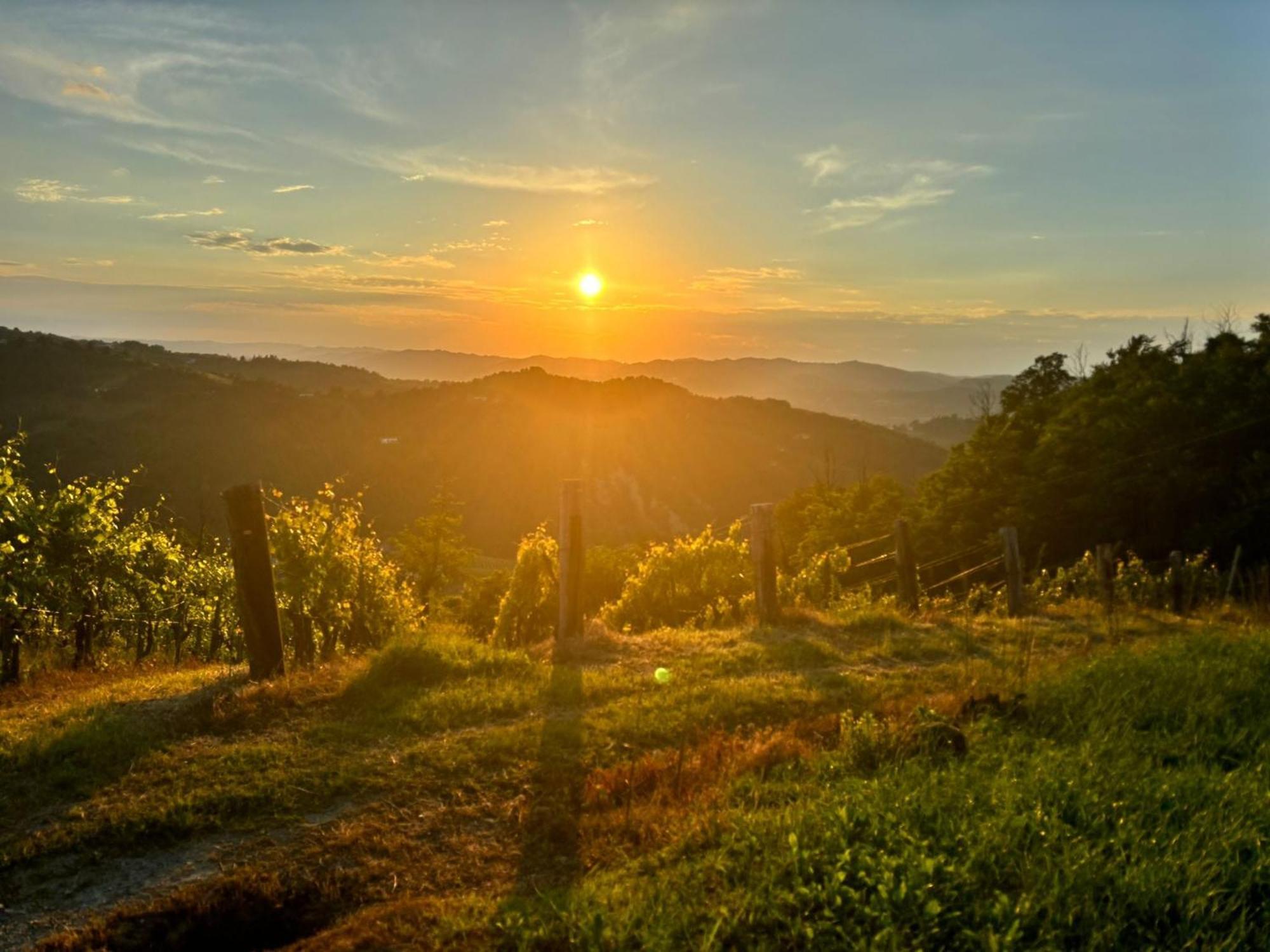 1929 Wine Food Relax Agriturismo Акуи Терме Екстериор снимка